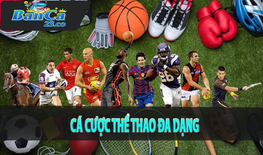 Cá cược thể thao với các môn thể thao đa dạng
