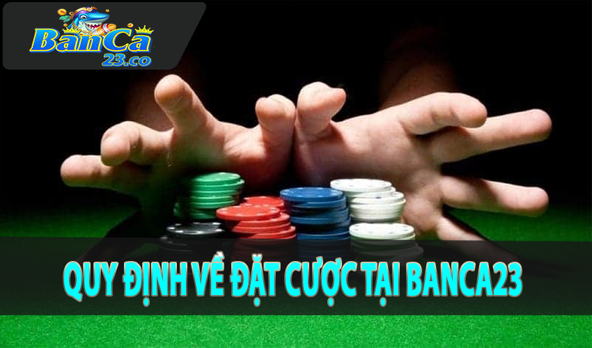 Quy định chung về điều khoản dịch vụ đặt cược