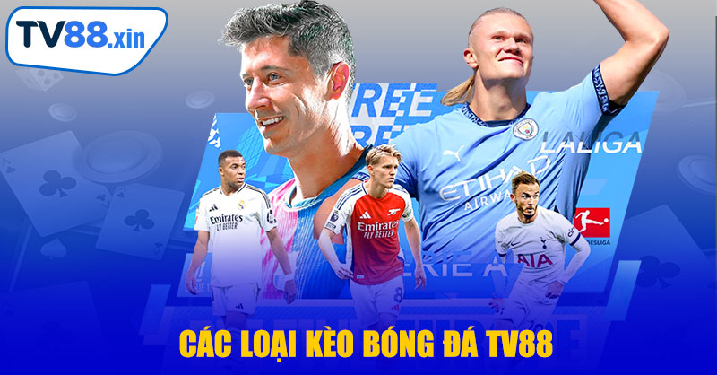 Các Loại Kèo Bóng Đá TV88