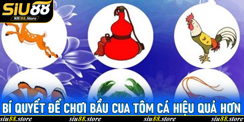 Bí quyết để chơi Bầu Cua Tôm Cá hiệu quả hơn